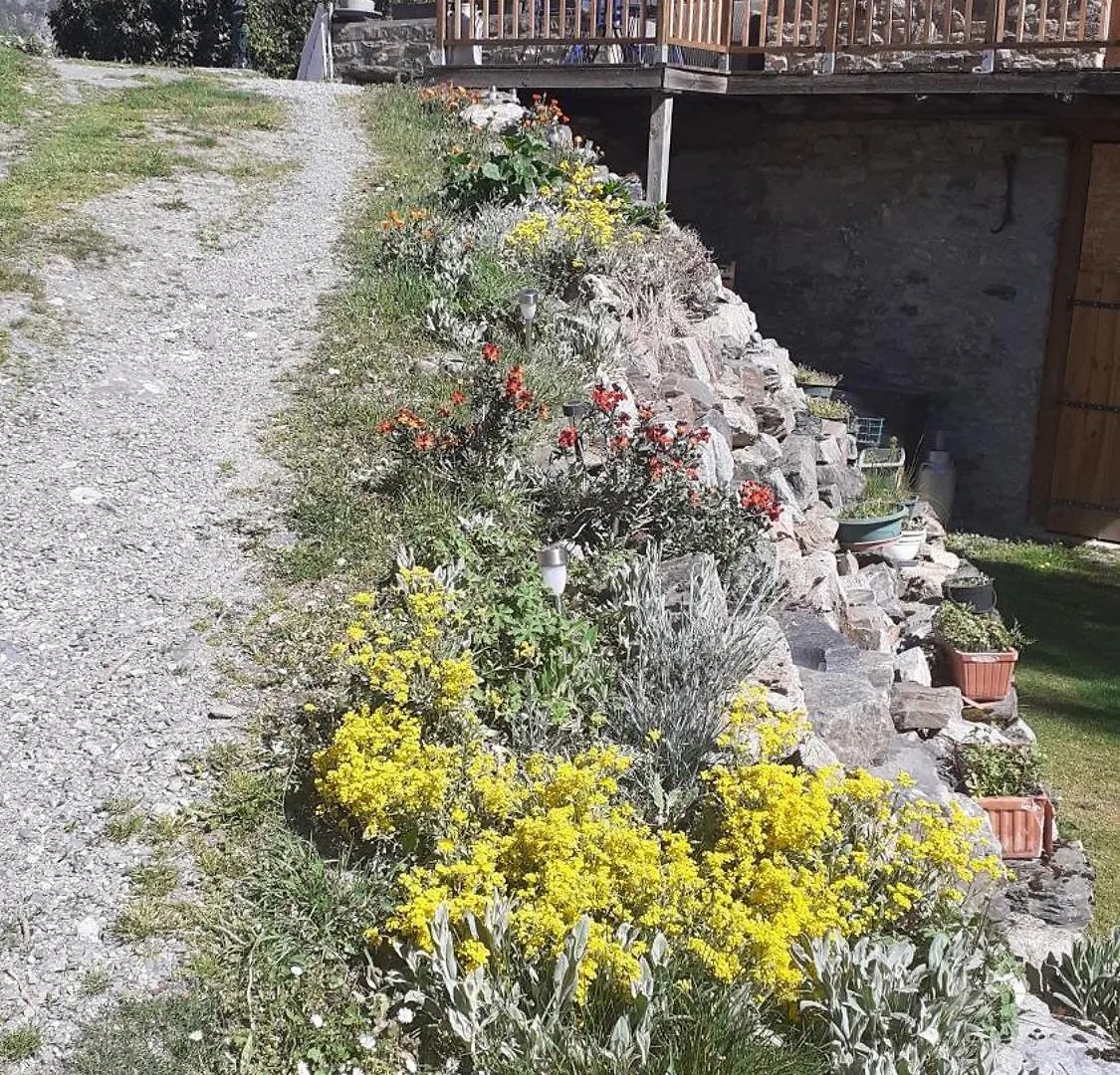 Chalet Gite Du Sapin Vert Sailhan